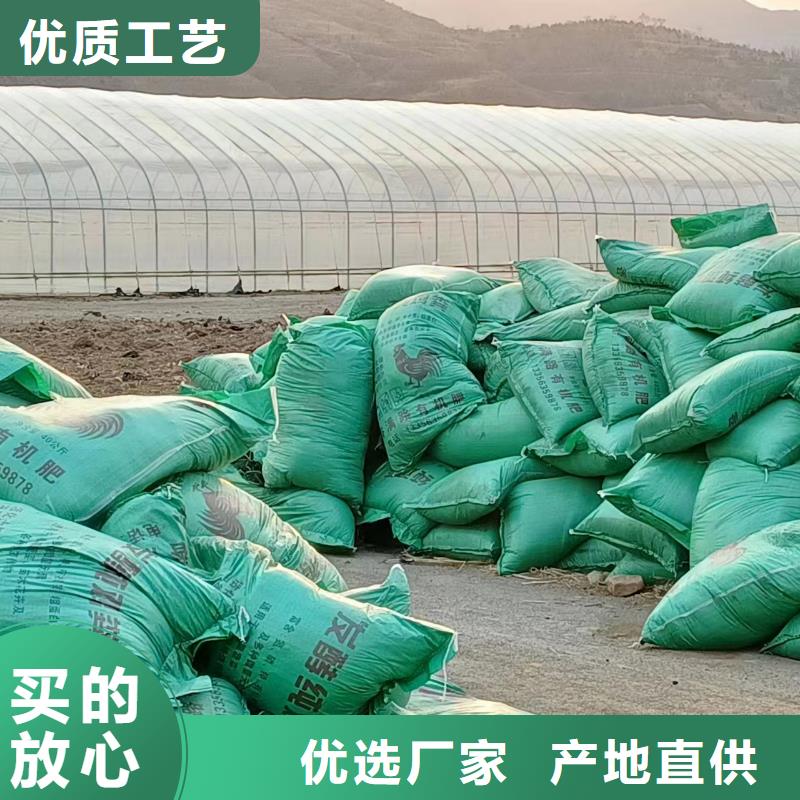 肥水鸡粪批发价