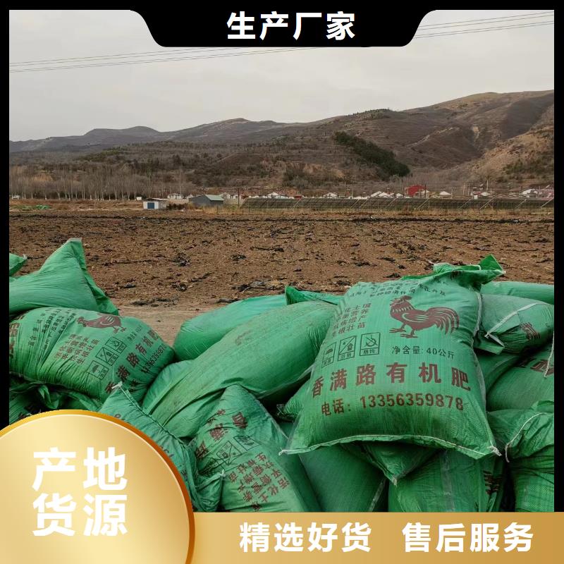 肥水鸡粪增加苹果收入