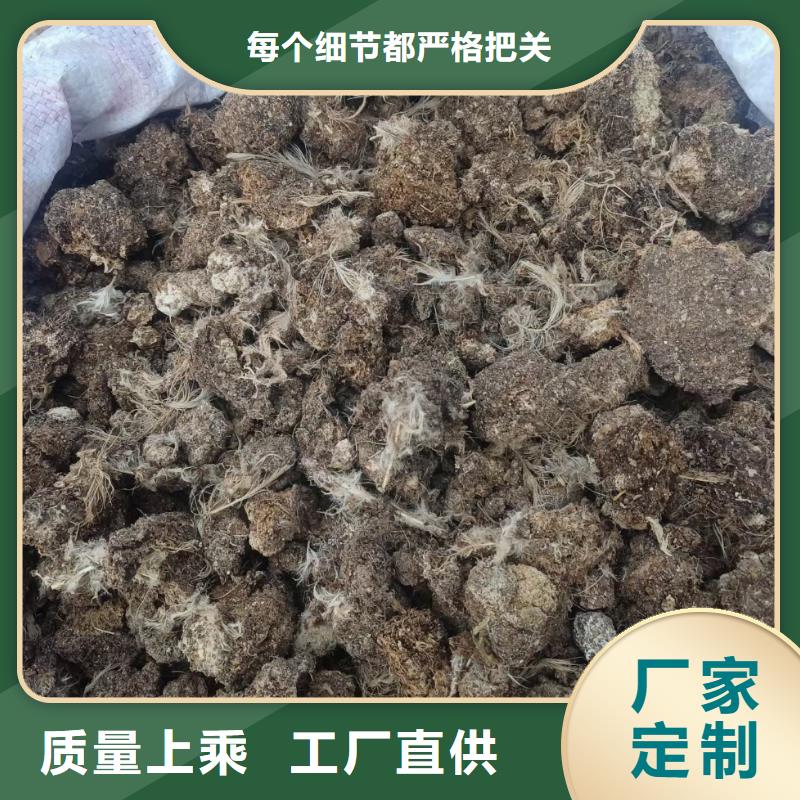 肥水鸡粪增加苹果收入