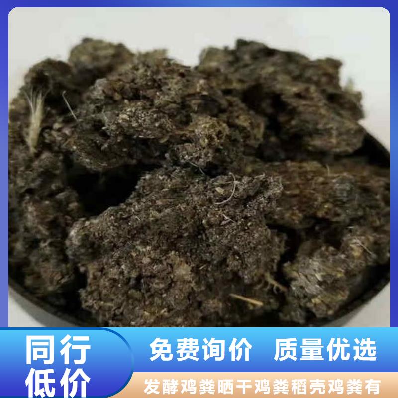 莲池稻壳粪改善养殖环境