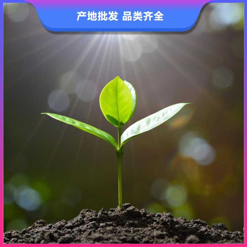 鸡粪一年四季有货