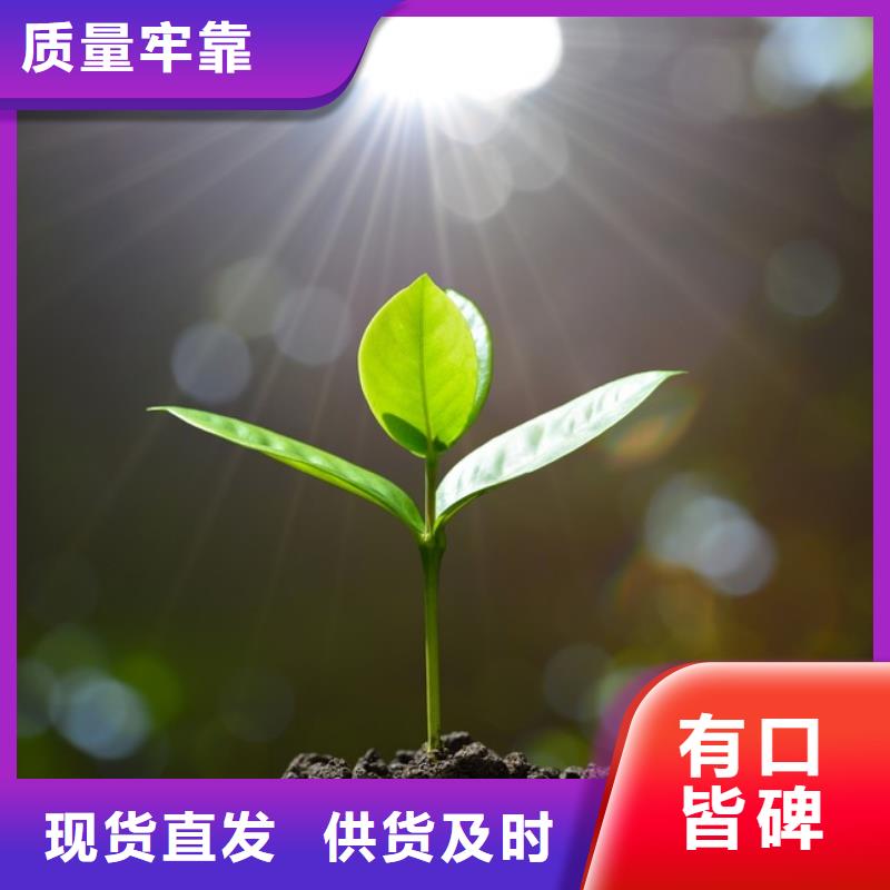 晒干鸡粪良心肥