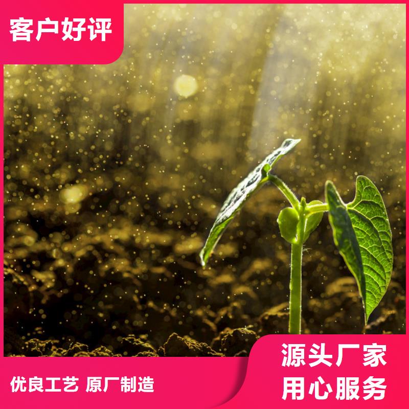 稻壳鸡粪供货厂家