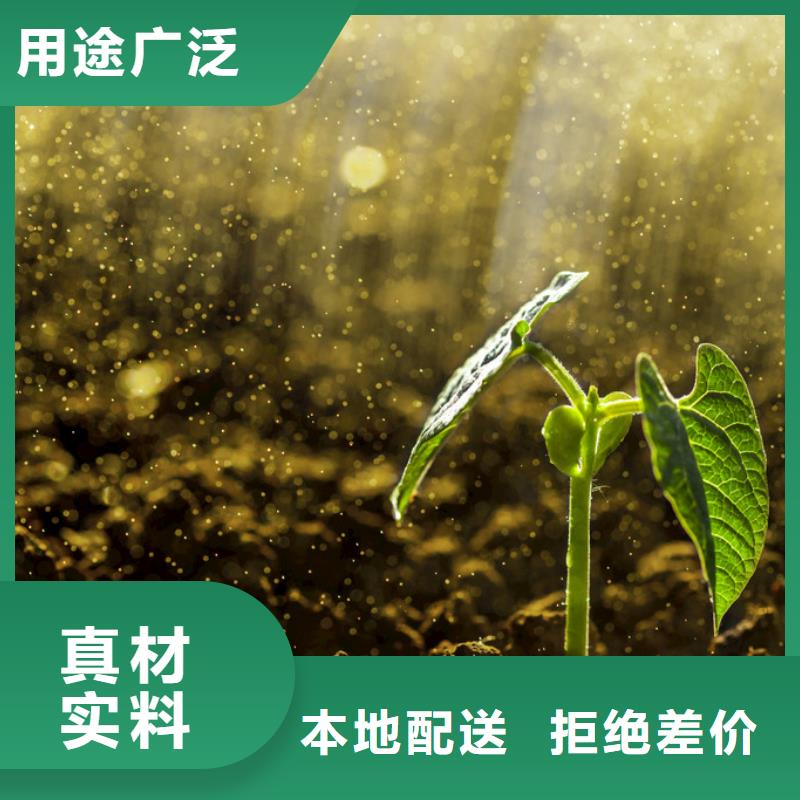 干鸡粪养苗