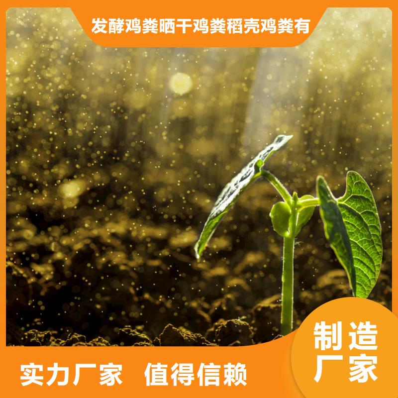 鸡粪鸡粪厂家符合行业标准