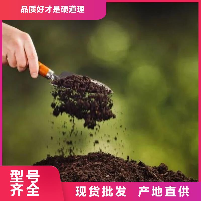 晒干鸡粪质量超群