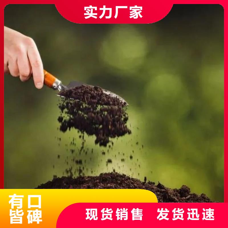 蔬菜改土福建泉州石狮稻壳鸡粪