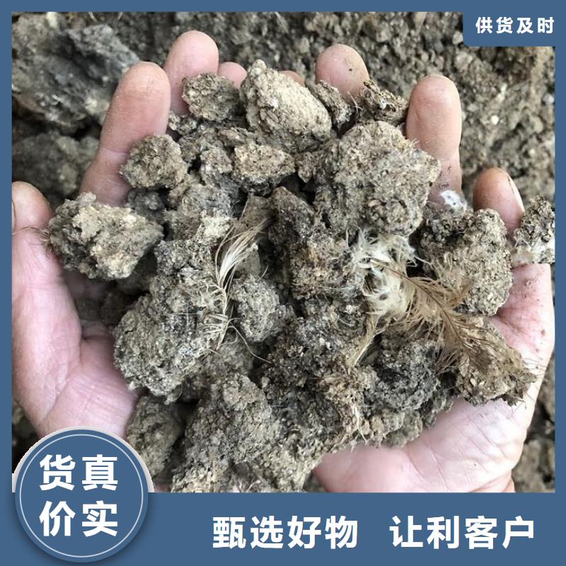 蔬菜改土福建泉州石狮稻壳鸡粪