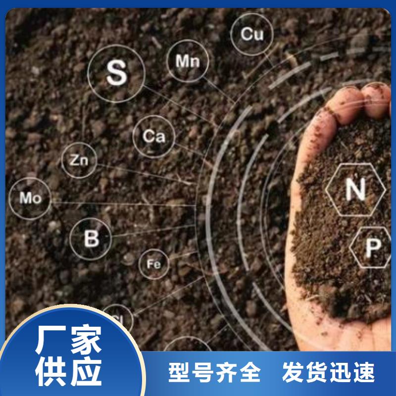 发酵鸡粪行业佼佼者