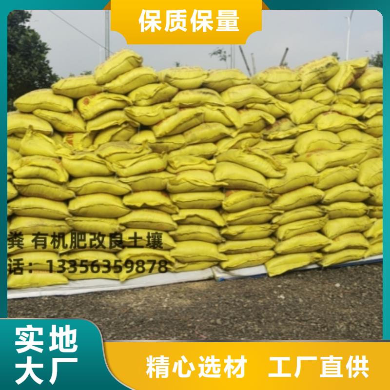 天津是津南发酵鸡粪改良土壤