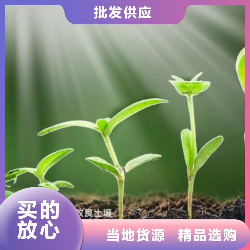 卢龙晒干鸡粪效果如何