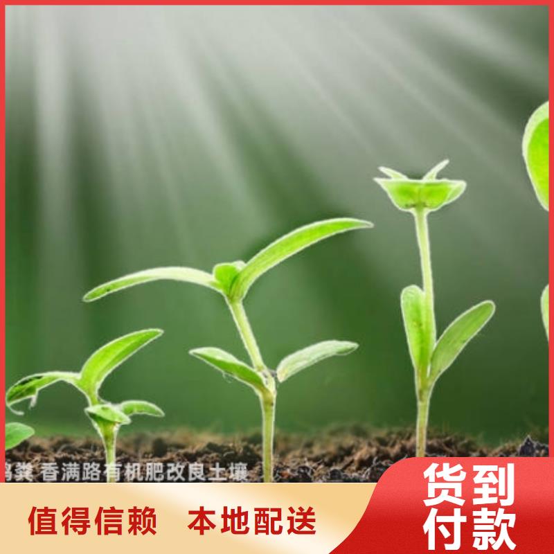 晒干鸡粪多少钱一方
