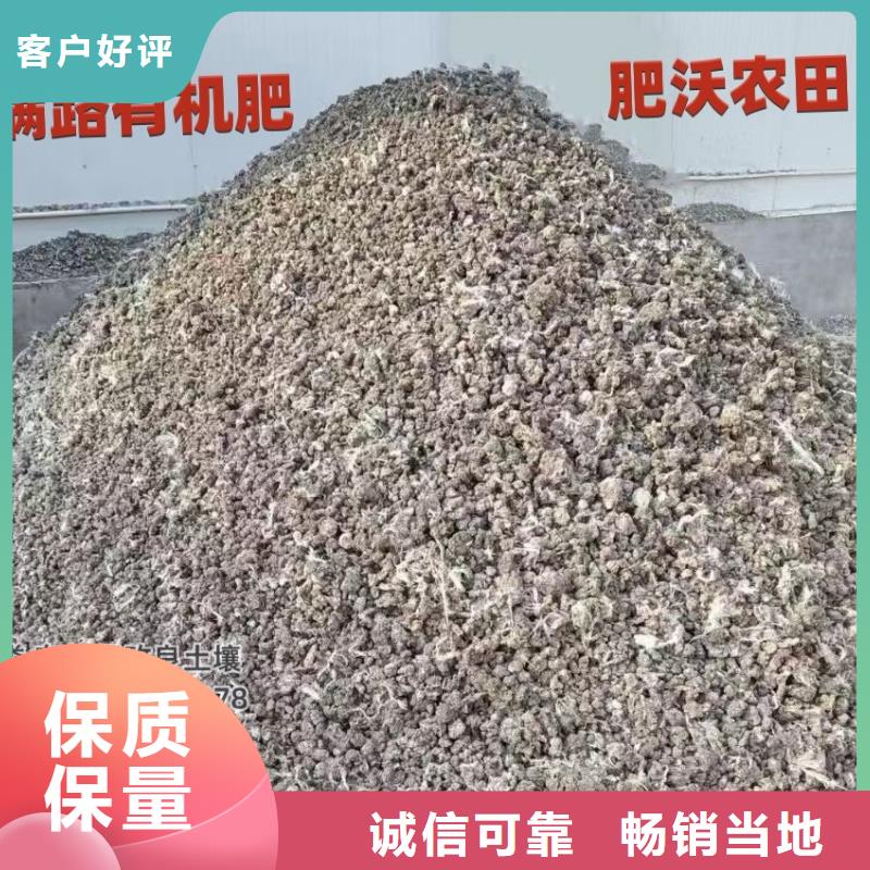发酵鸡粪肥效真的不错