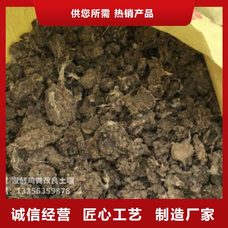 干鸡粪供应商