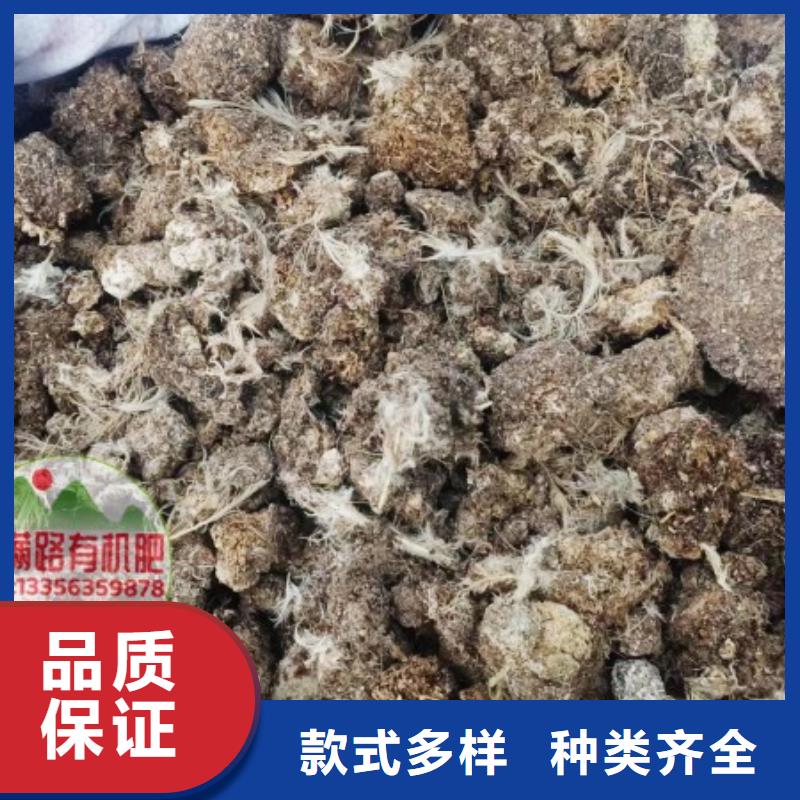 有机肥市场在哪里