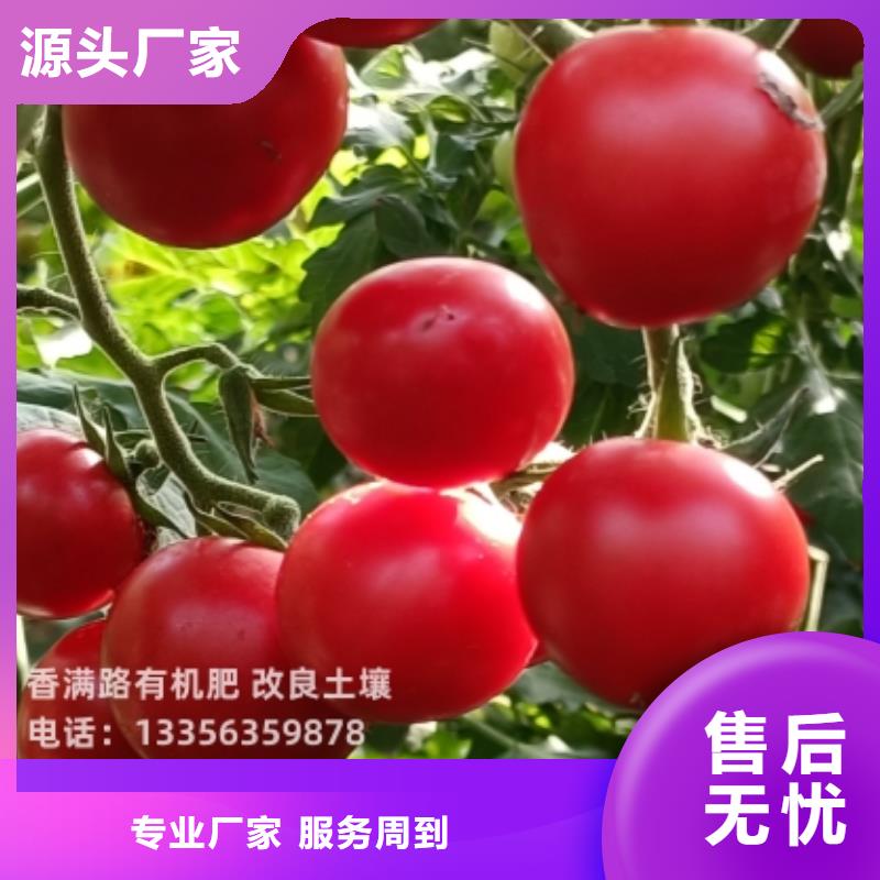 发酵鸡粪新用途