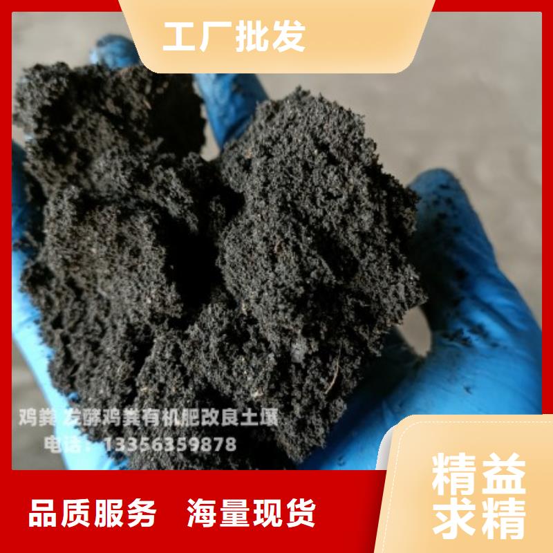 干鸡粪首页