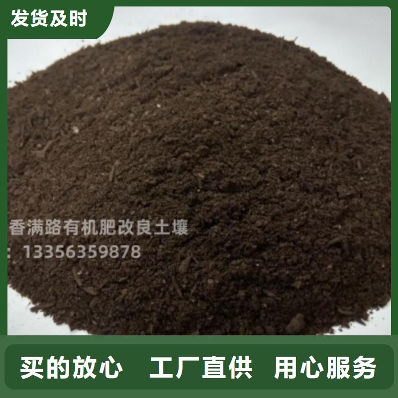干鸡粪果树施肥好