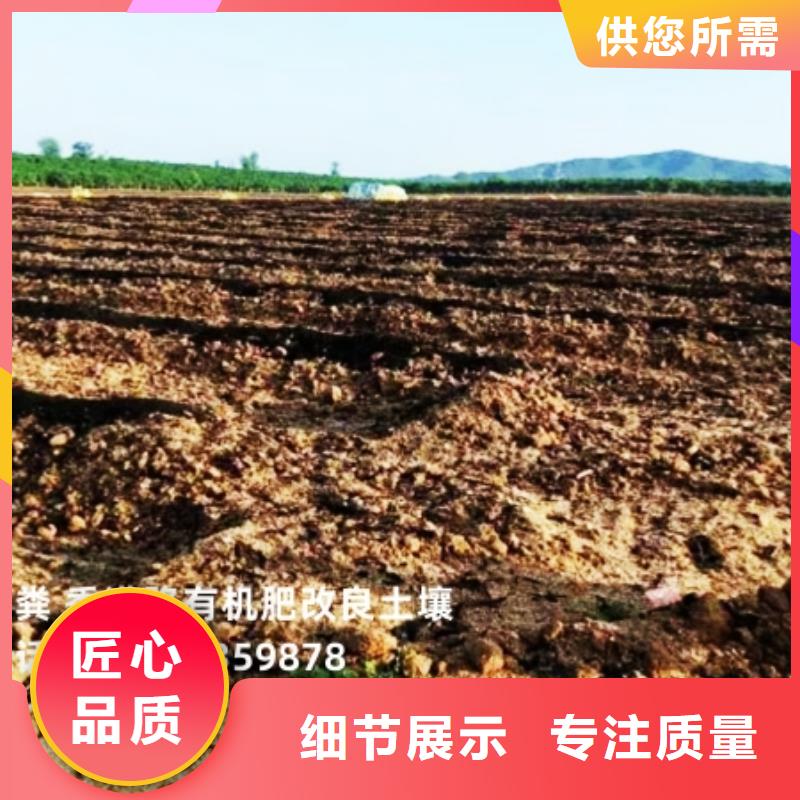 优质发酵鸡粪的公司