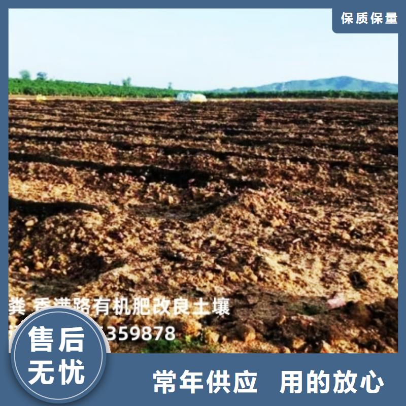 唐县有机肥很好用