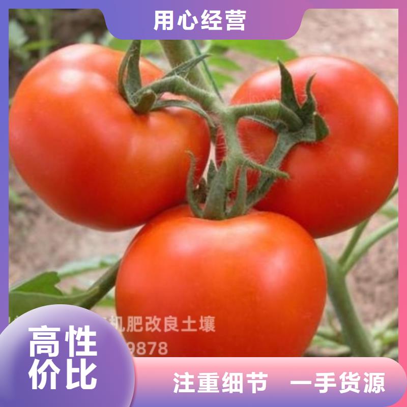 干鸡粪价格合理