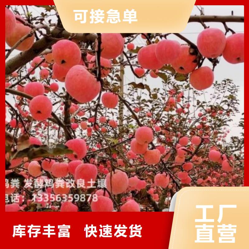 天津是津南发酵鸡粪改良土壤