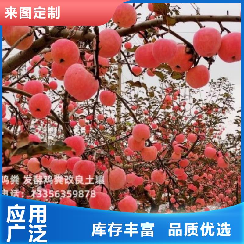 干鸡粪哪家好