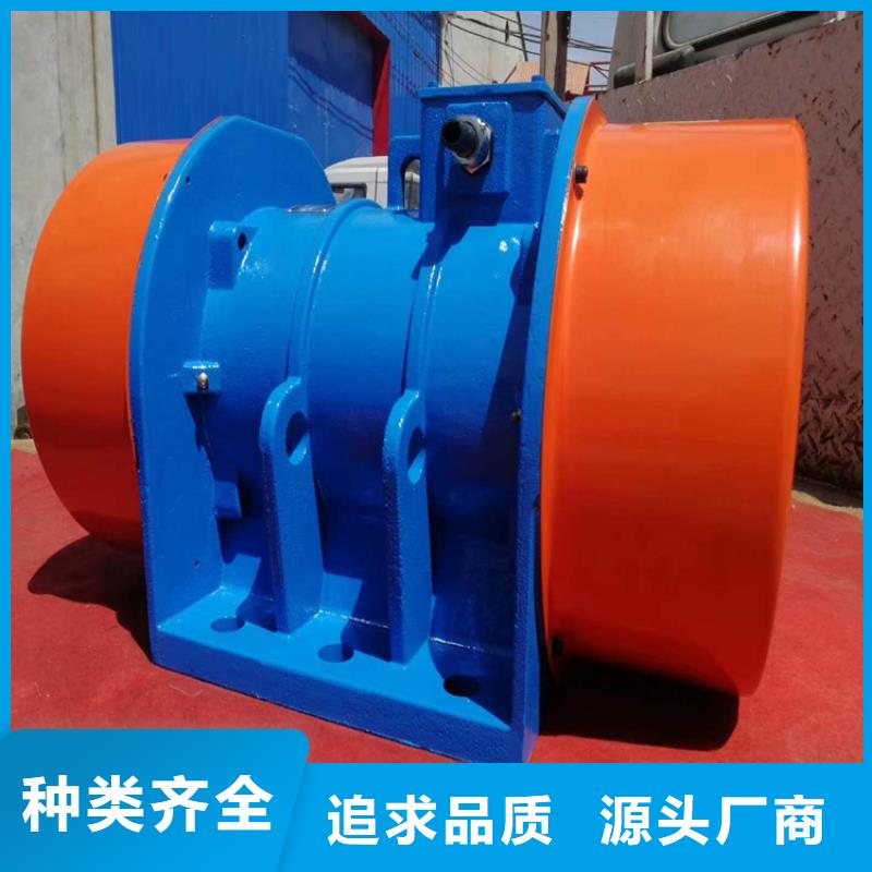 南湖附着式振动器1.5KW变频振动器来厂考察