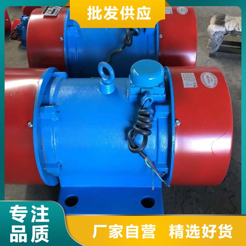 长宁YZS-3-6振动电机0.25KW矿用防爆振动电机报价
