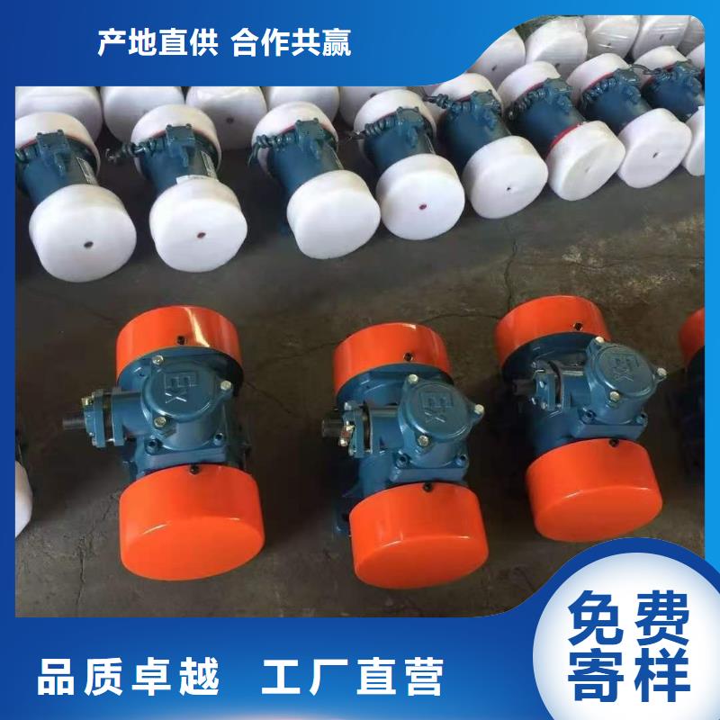 立式振动电机矿用筛专用振动电机价格