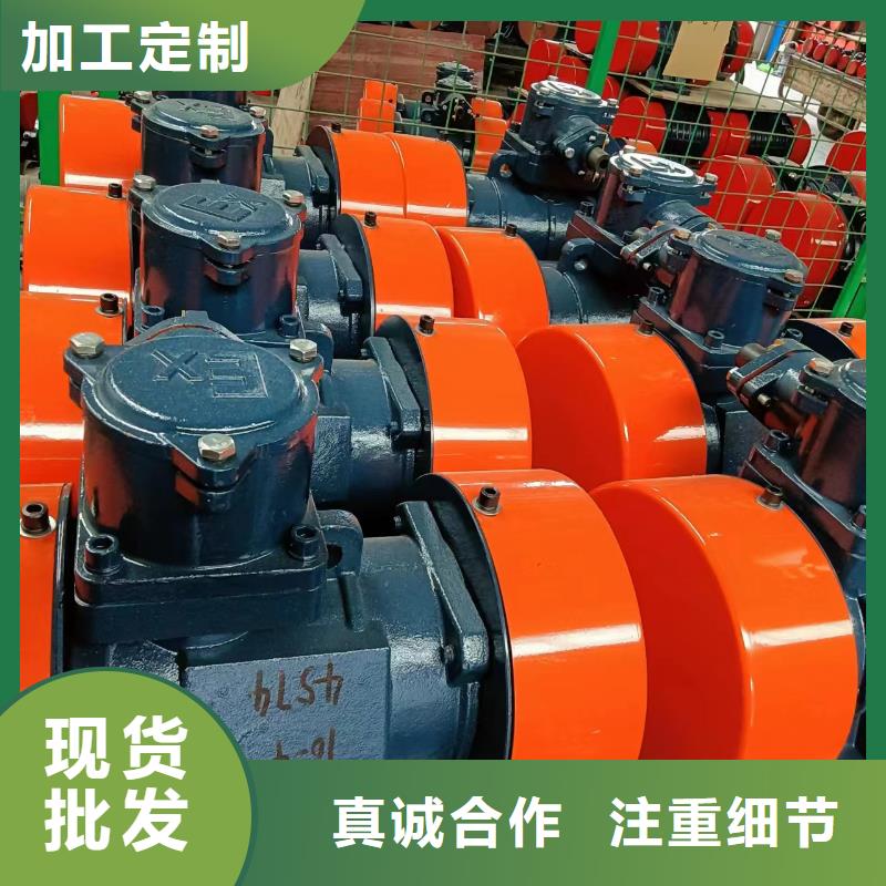 清苑BZF-12仓壁振动器粉尘防爆仓壁振动器维修厂家