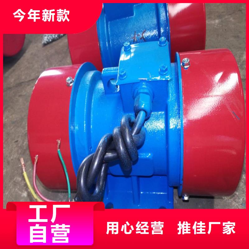 防爆振动电机平板振动器制造厂家