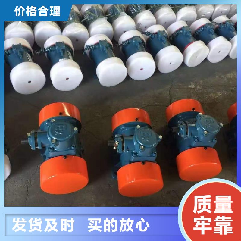 防爆振动电机防闭塞装置厂家工厂现货供应