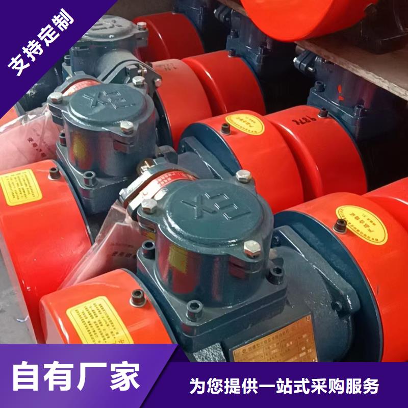 XVM26-6振动电机1.9KW来厂考察