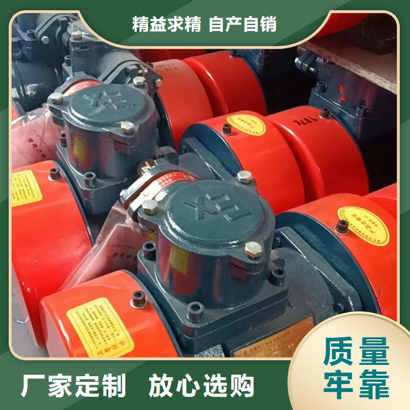 性价比高的可调式振动电机厂家