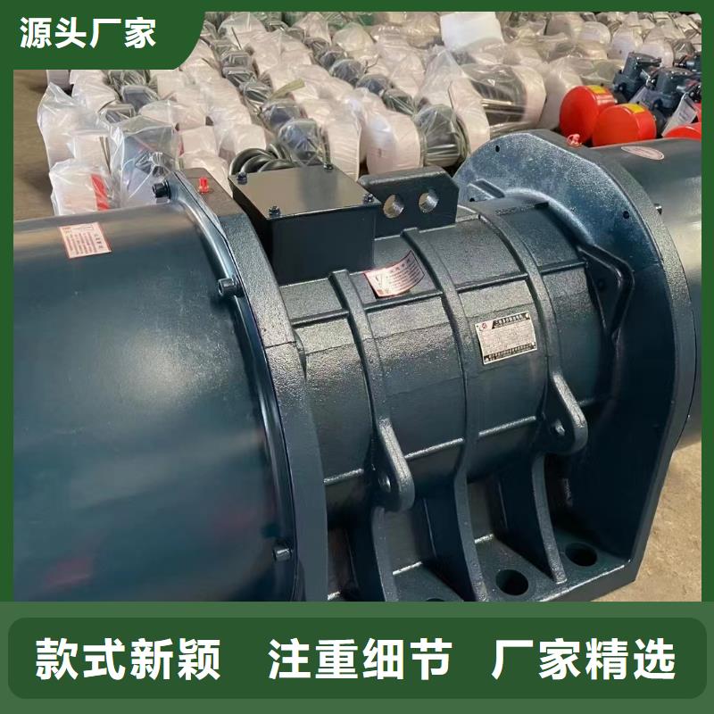YZQ-10-2振动电机本地批发