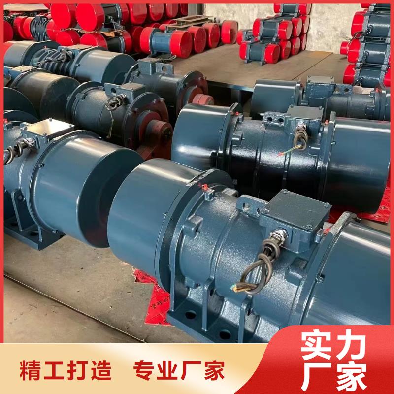 防爆振动电机平板振动器制造厂家