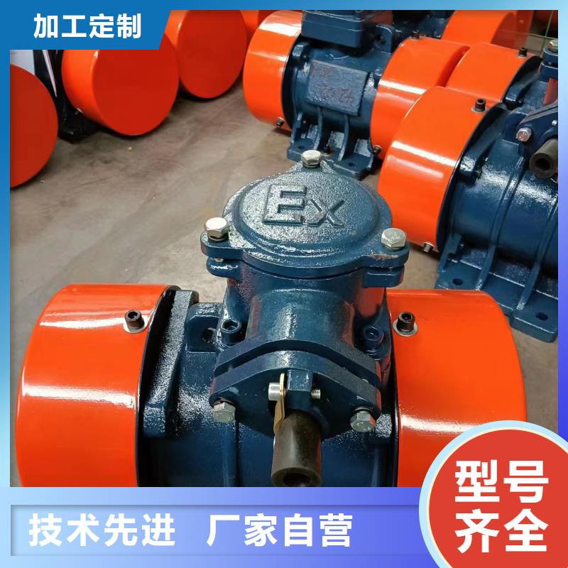 【防爆振动电机仓壁振动器支持定制加工】