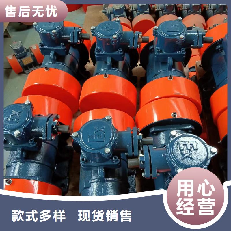 防爆振动电机平板振动器厂家出货快