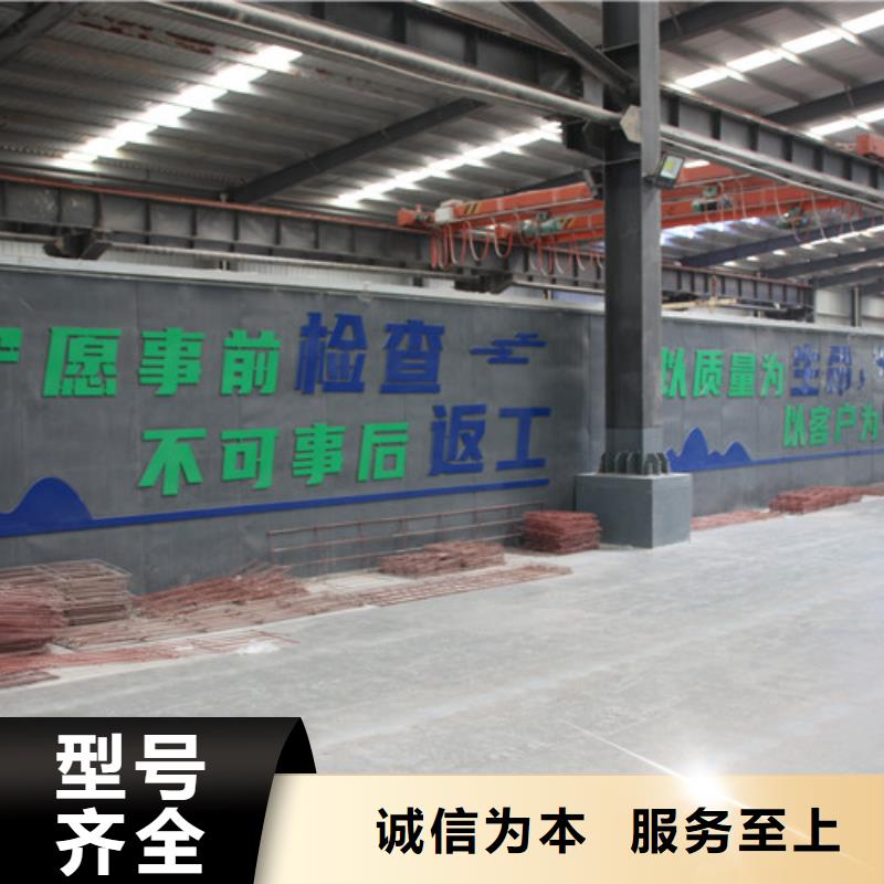 06蒸压加气混凝土板团队