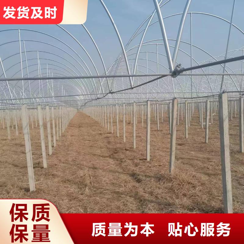 【温室大棚】温室大棚滴灌设备厂家供应
