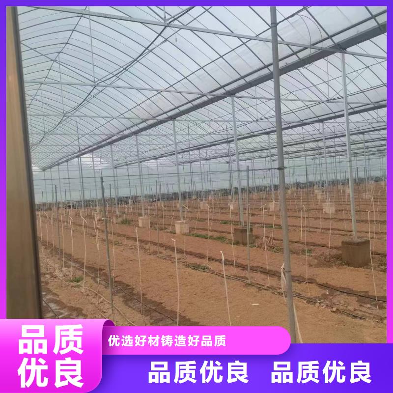 温室大棚玻璃温室水槽快速生产