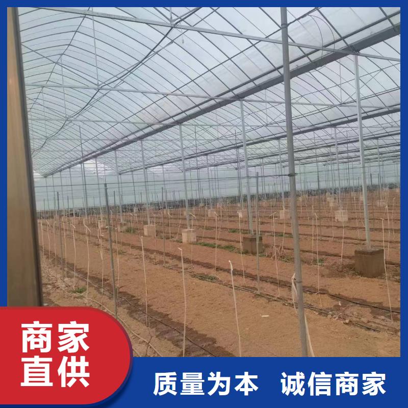 温室大棚【热镀锌椭圆大棚管】精工打造