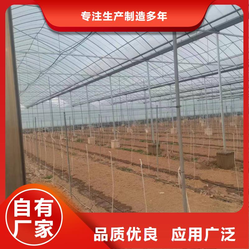 温室大棚,太阳能光伏支架订购