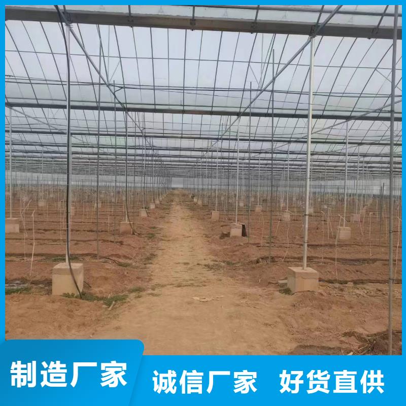 温室大棚,温室大棚滴灌设备讲信誉保质量