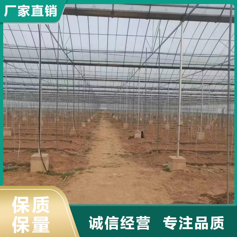 温室大棚养殖棚多年行业积累