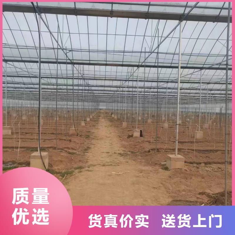 温室大棚锌铝镁光伏支架用心制造