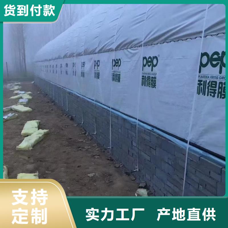 温室大棚-热镀锌光伏支架专注细节专注品质