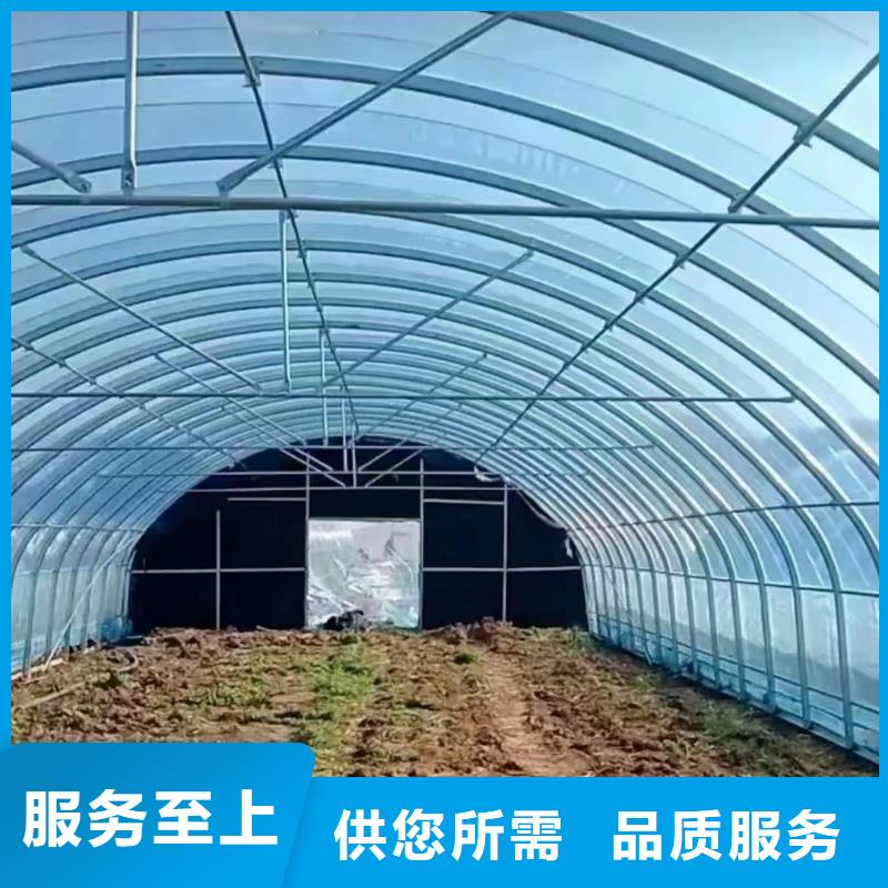 温室大棚养殖棚多年行业积累