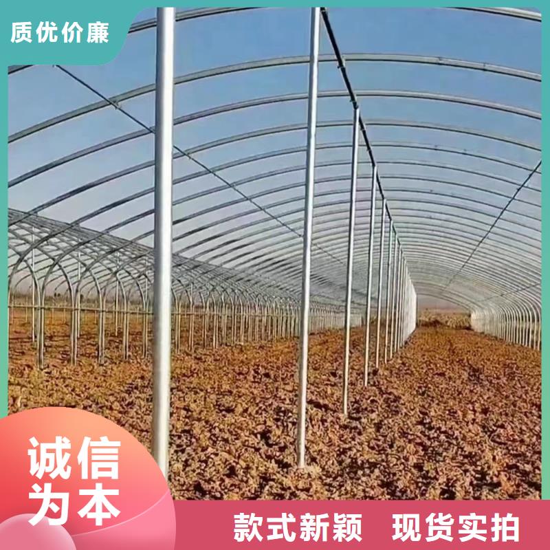 温室大棚大棚钢管源头厂家供应